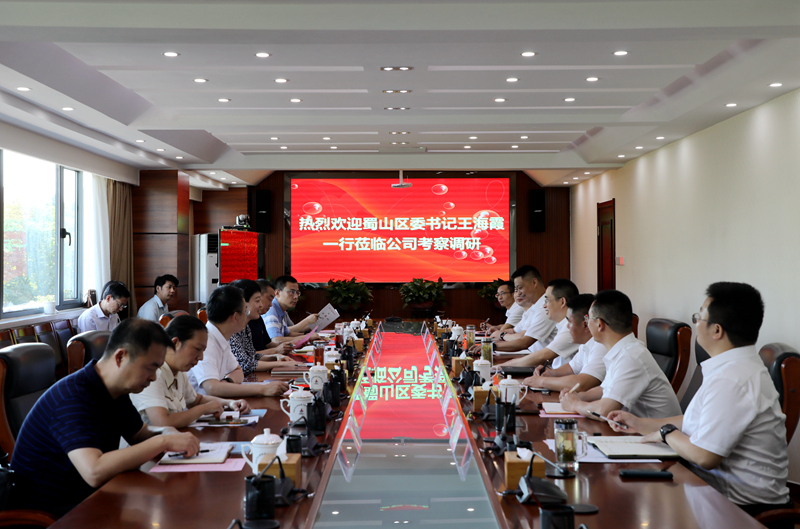 蜀山區(qū)委書記王海霞到公司走訪調研
