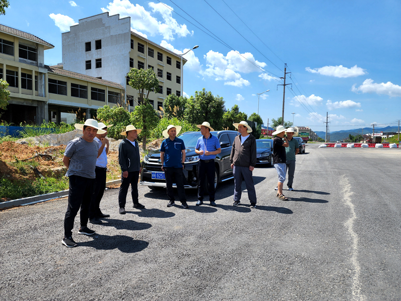 池州市交通運輸局黨組書記、局長毛萬青赴G530查橋至牛磯段01標(biāo)調(diào)研2