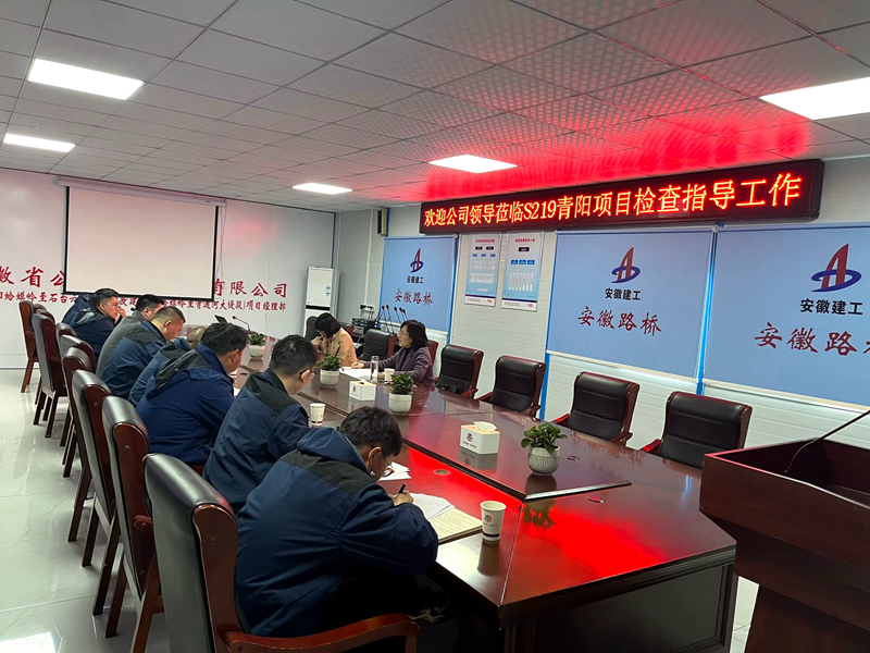 公司黨委委員、紀(jì)委書記王鵬到S219青陽改建項目調(diào)研指導(dǎo)工作